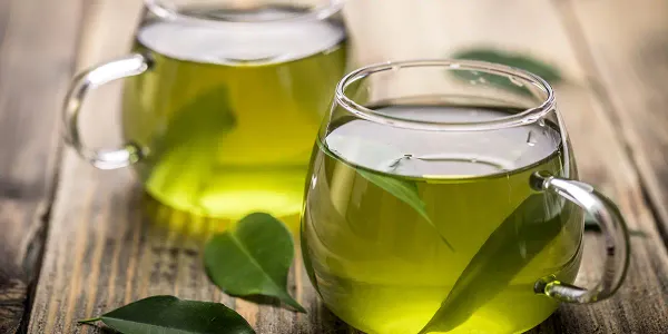 Té verde: ¡Comparte un sorbo de esta bebida rica en antioxidantes con tu mascota!