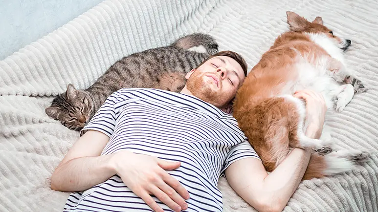 Mascotas en la habitación: ¿benefician o perjudican el sueño?
