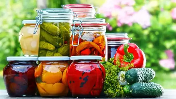 Cómo hacer que los vegetales fermentados sean una parte saludable de la comida de tu mascota